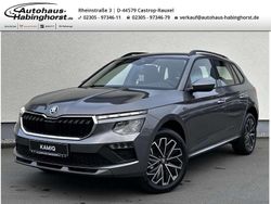 Grau Neu 2025 Skoda Kamiq Tour SUV | 27.290 € (Etwas zu teuer)
