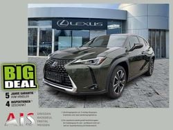 Terrane khaki Gebraucht 2021 Lexus UX 250h SUV | 23.250 € (Superpreis)