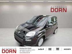 Cinema schwarz Gebraucht 2025 Fiat Panda Kleinwagen | 13.990 € (Fairer Preis)