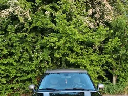Schwarz Gebraucht 2014 Mini Cooper SD Clubman Kombi | 10.800 € (Fairer Preis)