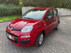Rot Neu 2025 Fiat Panda Kleinwagen | 14.990 € (Fairer Preis)