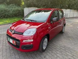 Rot Neu 2025 Fiat Panda Kleinwagen | 14.990 € (Fairer Preis)