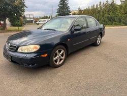 Blau Gebraucht 2001 Nissan Maxima Limousine | 2.200 €
