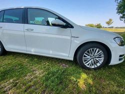 Weiß Gebraucht 2014 VW Golf VII Cup Limousine | 11.500 € (Fairer Preis)