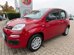 Rot Neu 2025 Fiat Panda Icon Kleinwagen | 15.490 € (Fairer Preis)