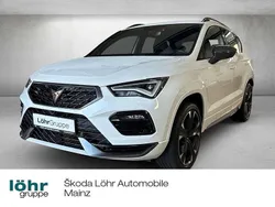 "bila" weiss Gebraucht 2023 Cupra Ateca SUV | 32.480 € (Superpreis)