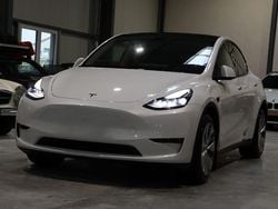 Weiß Gebraucht 2023 Tesla Model Y Long Range AWD SUV | 34.900 € (Superpreis)
