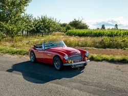 Rot Gebraucht 1962 Austin Healey 3000 MK II Cabrio | 49.900 €
