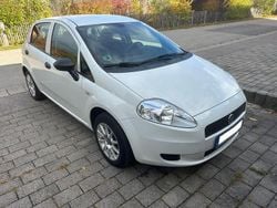 Weiß Gebraucht 2013 Fiat Punto Kleinwagen | 4.899 € (Fairer Preis)