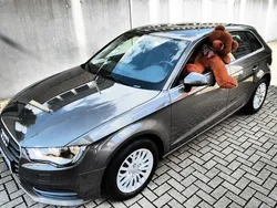 Grau Gebraucht 2014 Audi A3 Sportback Ambiente Limousine | 13.912 € (Fairer Preis)