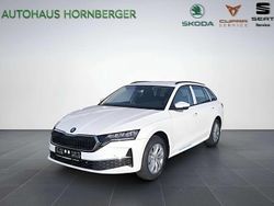 Candyweiss Neu 2024 Skoda Octavia Selection Kombi | 31.990 € (Guter Preis)