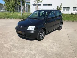 Schwarz Gebraucht 2009 Fiat Panda Active Kleinwagen | 2.900 € (Etwas zu teuer)