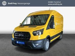Gelb Gebraucht 2024 Ford Transit Trend Abholung | 24.395 € (Superpreis)