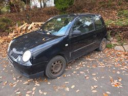 Schwarz Gebraucht 2005 VW Lupo Basis Kleinwagen | 500 € (Superpreis)