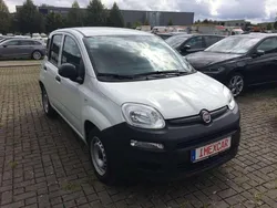 Weiss Gebraucht 2021 Fiat Panda Kleinwagen | 9.990 € (Guter Preis)