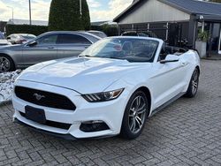 Weiß Gebraucht 2015 Ford Mustang Cabrio | 12.949 €