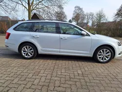Weiß Gebraucht 2018 Skoda Octavia Kombi | 10.450 € (Guter Preis)