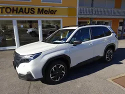 Weiß Neu 2025 Subaru Forester Exclusive+ SUV | 41.999 € (Fairer Preis)