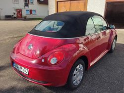 Rot Gebraucht 2005 VW Beetle Cabrio | 3.500 € (Fairer Preis)