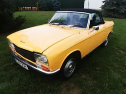 Gelb Gebraucht 1973 Peugeot 304 Cabrio | 12.950 €