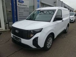 Frozen white Neu 2024 Ford Transit Trend Van / Kleinbus | 21.590 € (Guter Preis)