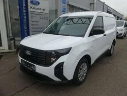 Frozen white Neu 2024 Ford Transit Trend Van / Kleinbus | 21.590 € (Guter Preis)