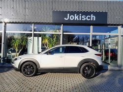 Weiß Gebraucht 2024 Mazda CX-30 Homura-Line SUV | 24.930 € (Guter Preis)