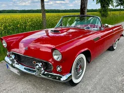Rot Gebraucht 1955 Ford Thunderbird Cabrio | 54.500 €