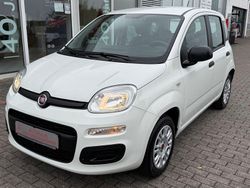 Weiß Gebraucht 2020 Fiat Panda Easy Kleinwagen | 8.790 € (Fairer Preis)