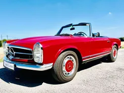 Rot Gebraucht 1967 Mercedes 250 Cabrio | 97.500 €