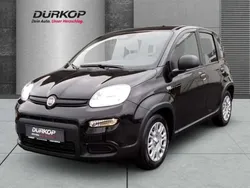 Cinema schwarz Neu 2024 Fiat Panda Kleinwagen | 13.980 €