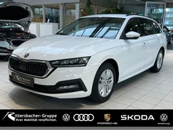 Candyweiss Gebraucht 2024 Skoda Octavia Ambition Kombi | 26.990 € (Fairer Preis)