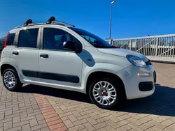 Weiß Gebraucht 2019 Fiat Panda Easy Kleinwagen | 8.400 € (Fairer Preis)