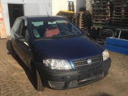 Blau Gebraucht 2004 Fiat Punto Kleinwagen | 750 € (Fairer Preis)