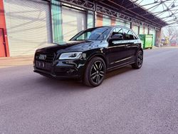 Grün Gebraucht 2016 Audi SQ5 Ambiente SUV | 21.900 € (Guter Preis)