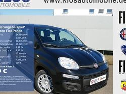 Schwarz Neu 2025 Fiat Panda Pop Kleinwagen | 14.490 € (Fairer Preis)