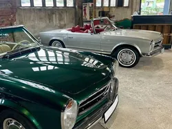 Grün Gebraucht 1967 Mercedes W113 Cabrio | 109.000 €