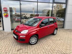 Rot Neu 2025 Fiat Panda Kleinwagen | 14.990 € (Fairer Preis)