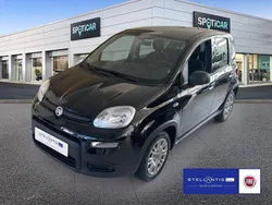 Schwarz Gebraucht 2024 Fiat Panda Kleinwagen | 12.430 € (Fairer Preis)