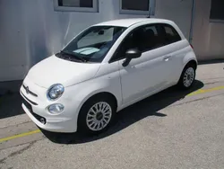Gelato weiß Gebraucht 2023 Fiat 500 Basis Kleinwagen | 17.490 € (Teuer)
