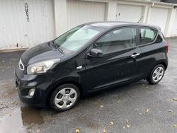 Schwarz Gebraucht 2015 Kia Picanto Edition 7 Kleinwagen | 3.500 € (Guter Preis)