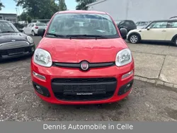 Rot Gebraucht 2016 Fiat Panda Easy Kleinwagen | 6.990 € (Fairer Preis)
