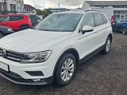 Weiß Gebraucht 2020 VW Tiguan Comfortline SUV | 23.500 € (Guter Preis)