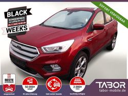 Rot Gebraucht 2019 Ford Kuga Titanium SUV | 17.788 € (Fairer Preis)