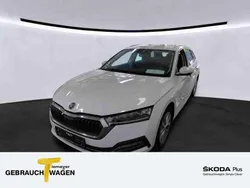 Weiß Gebraucht 2023 Skoda Octavia Style Kombi | 22.880 € (Guter Preis)