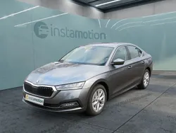 Blau Neu 2024 Skoda Octavia Selection Limousine | 29.700 € (Guter Preis)