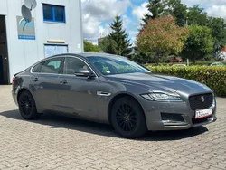 Grau Gebraucht 2018 Jaguar XF Pure Limousine | 13.990 € (Superpreis)