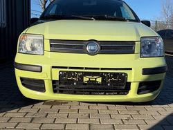 Grün Gebraucht 2006 Fiat Panda Dynamic Limousine | 1.390 € (Guter Preis)