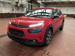 Rot Gebraucht 2019 Citroën C4 Cactus Feel Kleinwagen | 10.600 € (Guter Preis)