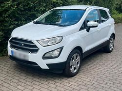 Weiß Gebraucht 2018 Ford Aerostar Sport Van / Kleinbus | 11.350 €